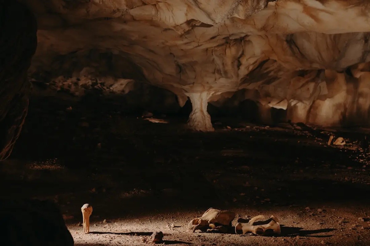 La Grotte CHAUVET 2 Salle des Crânes