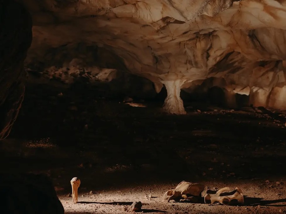 La Grotte CHAUVET 2 Salle des Crânes
