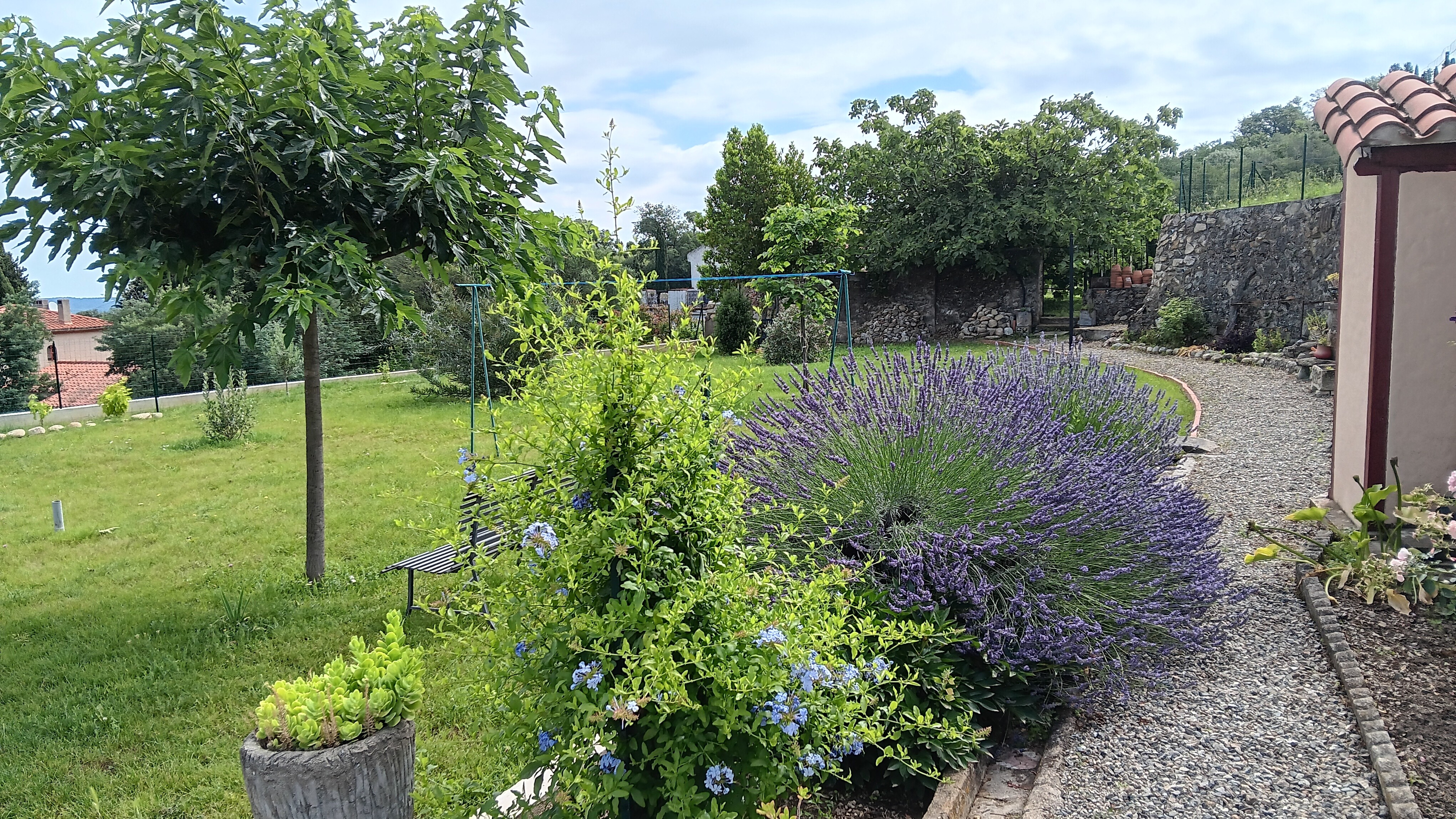 Jardin 6