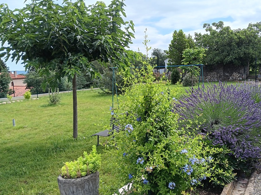 Jardin 6