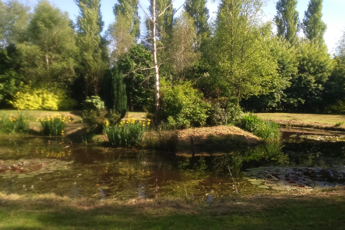 Photo n° 7 de la location