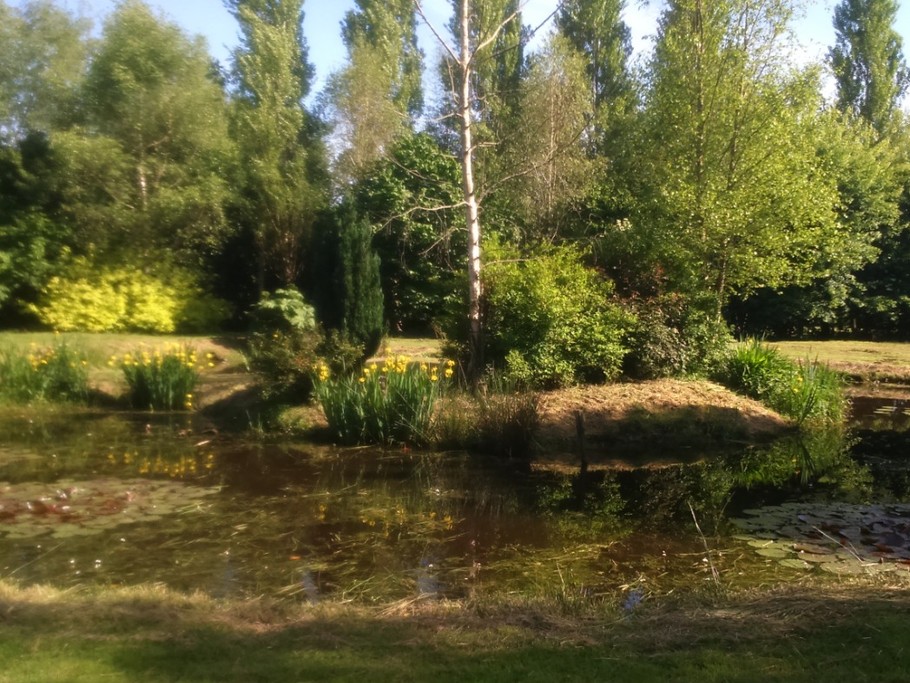 Photo n° 7 de la location