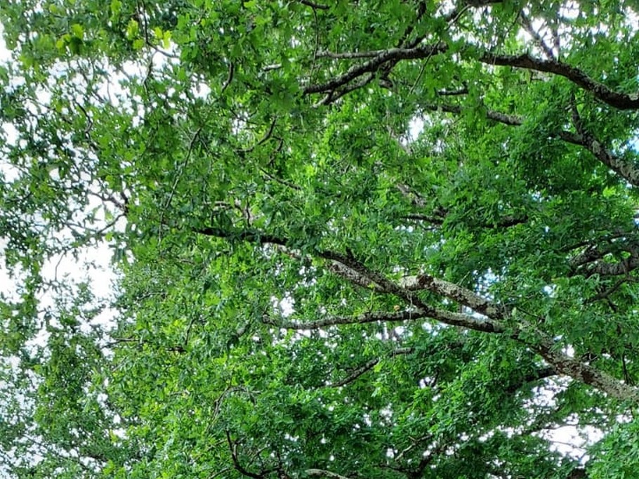 Photo n° 18 of the location