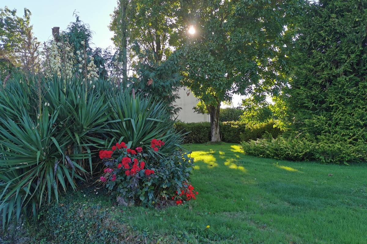 Photo n° 13 de la location