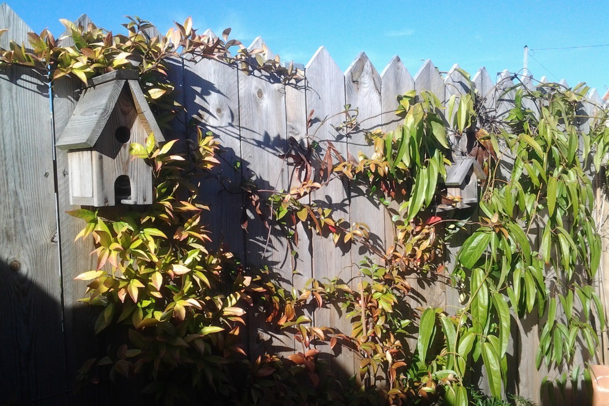 terrasse chambre