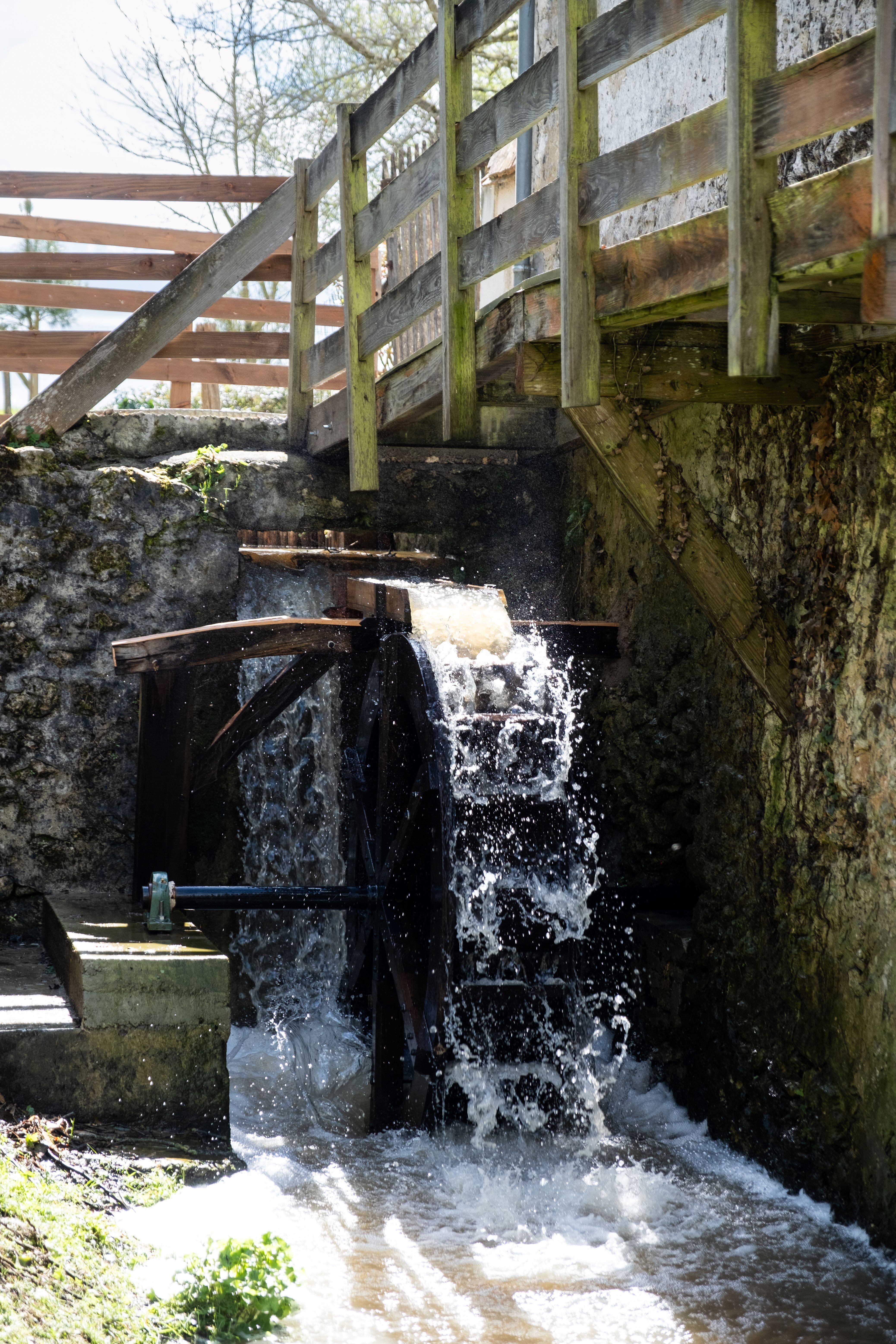 Photo n° 19 de la location