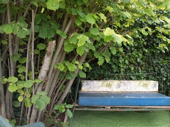 Photo n° 21 of the location