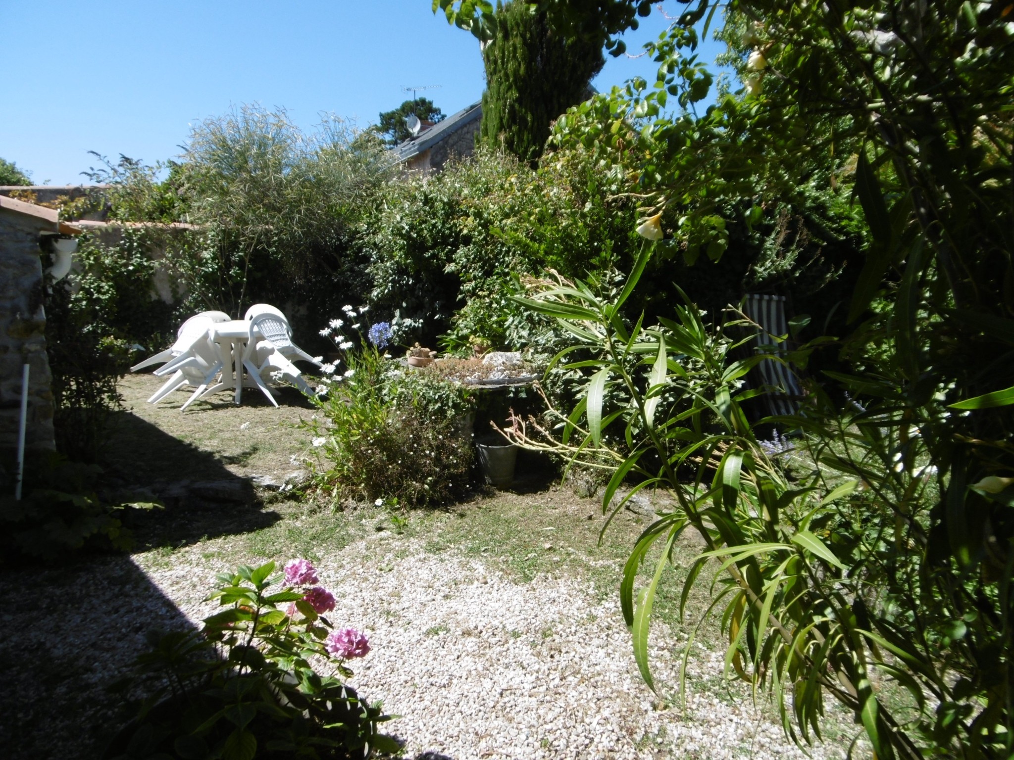 Jardin
