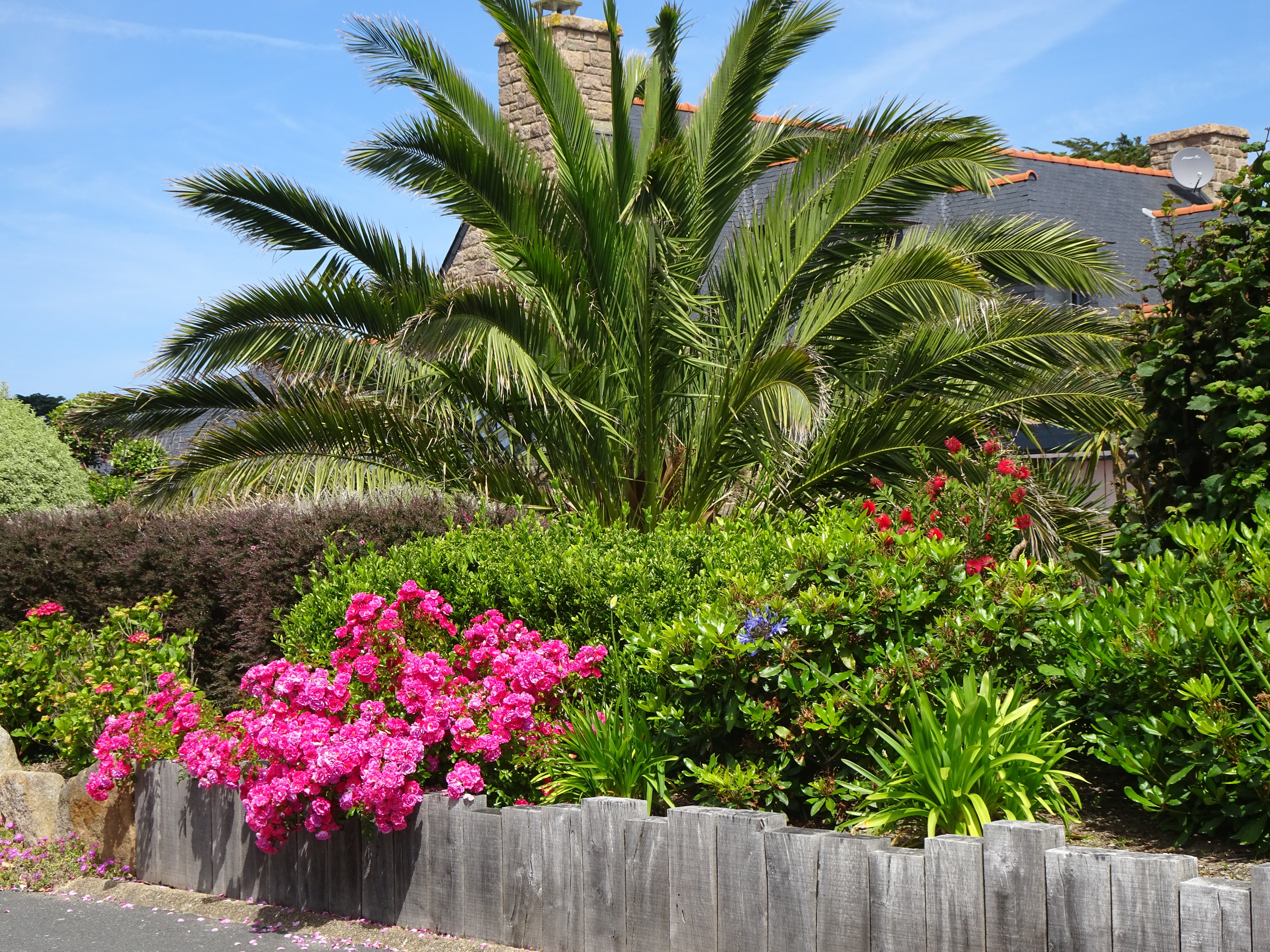 jardin