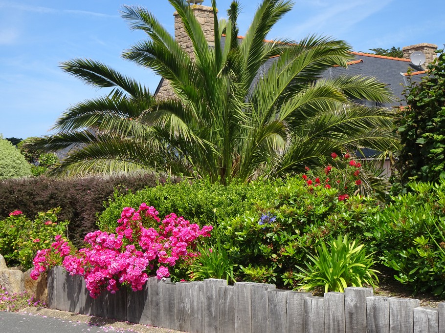 jardin