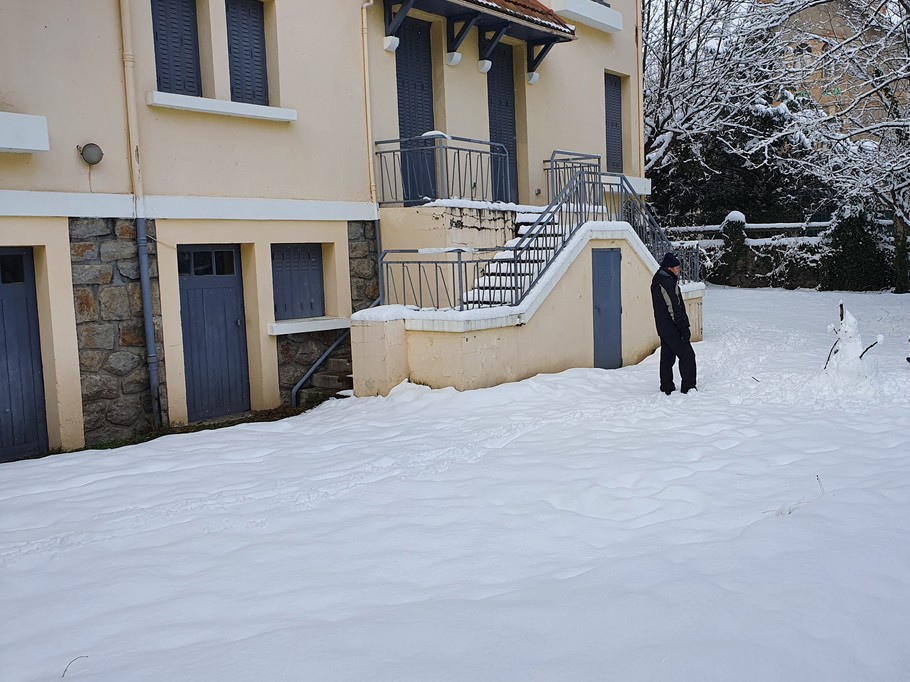 House – Back garden