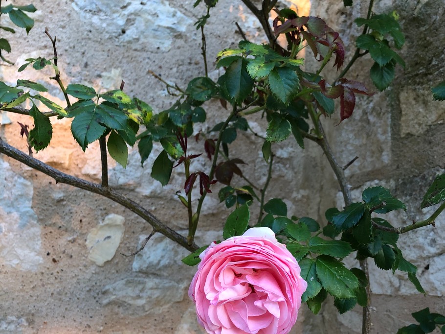 Photo n° 3 of the location