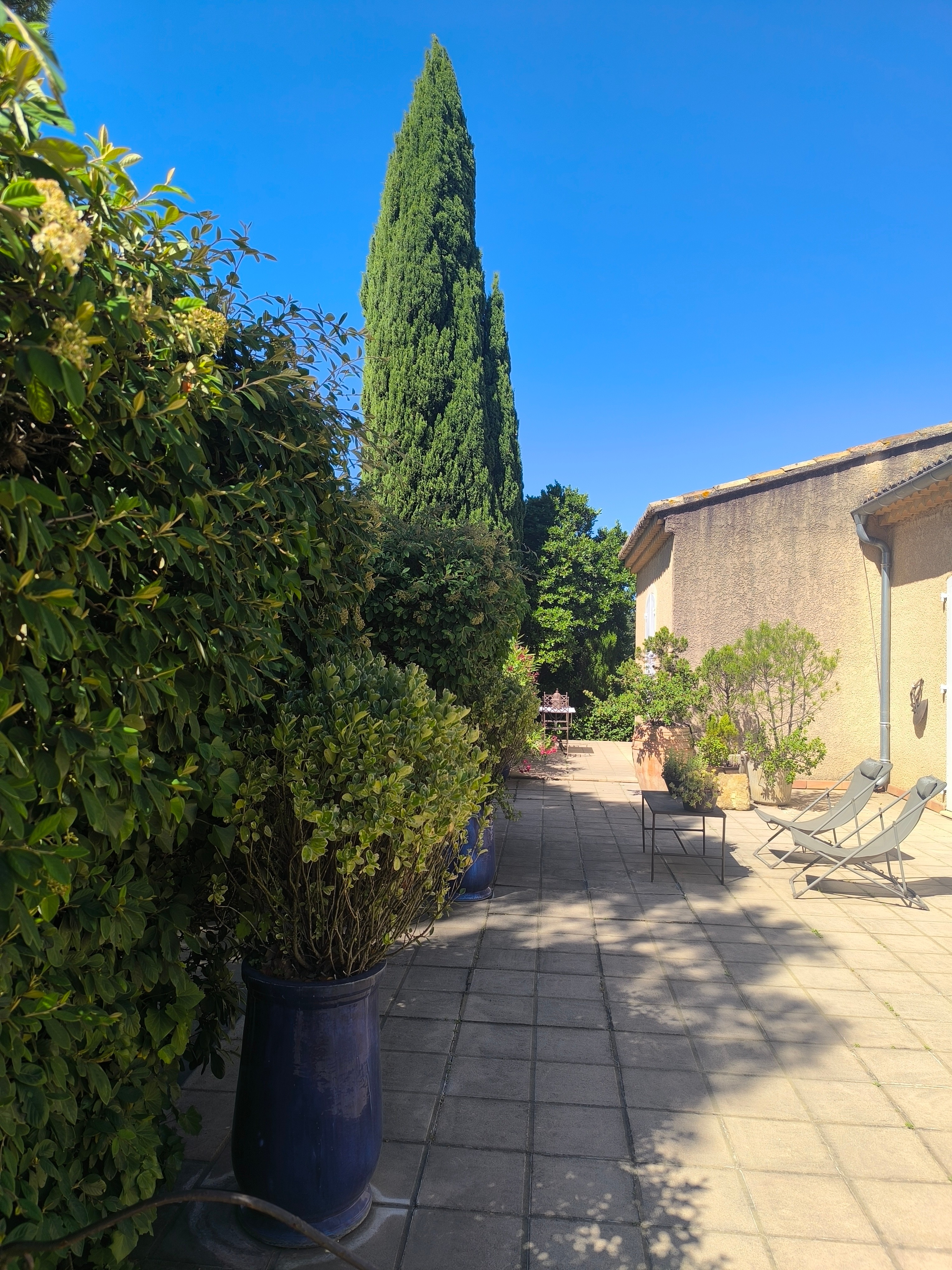 Photo n° 7 de la location