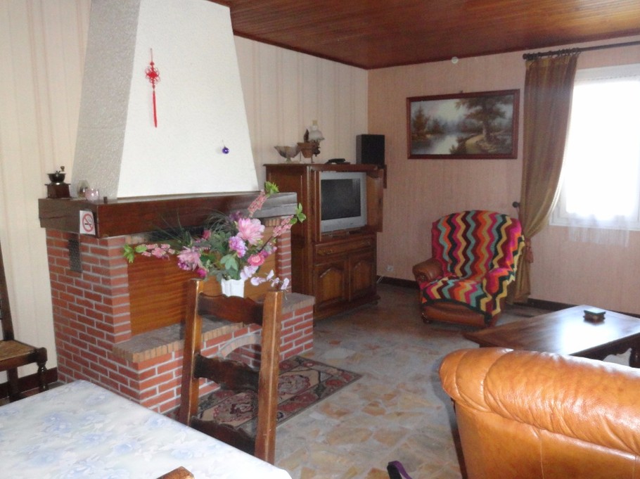 Salon avec cheminée -L'Igloo