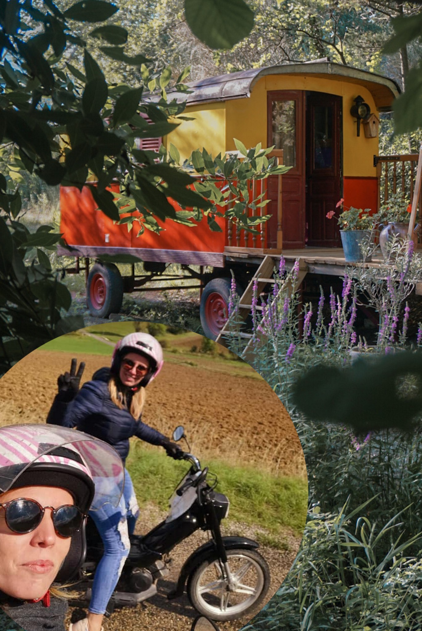 Photo n° 4 de la location