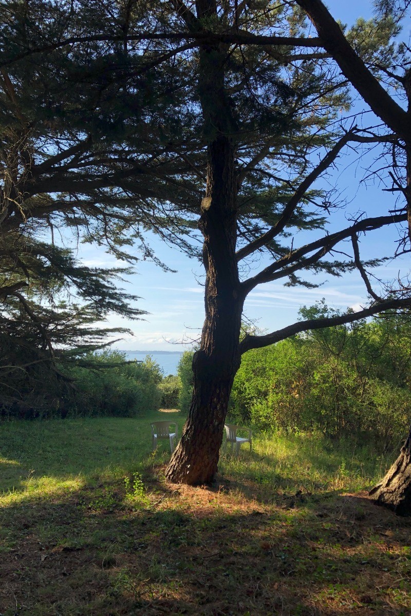 Sous les arbres du jardin
