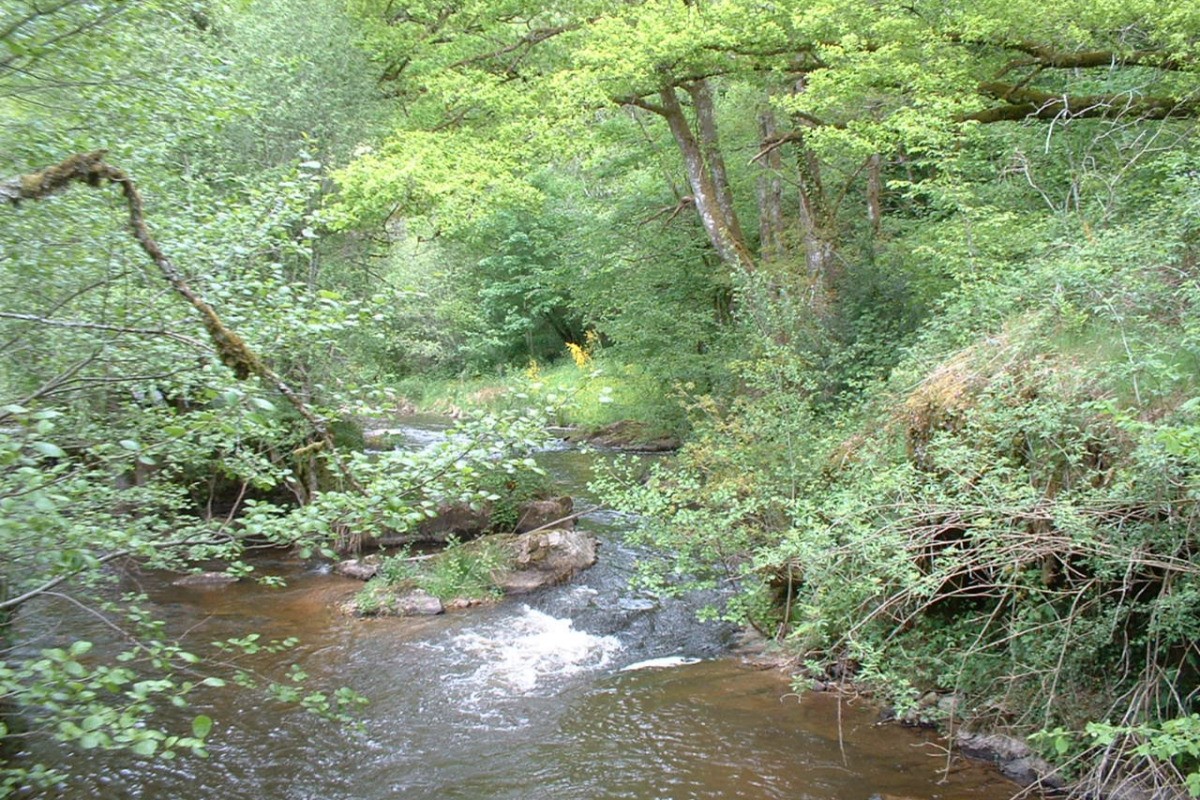 Rivière