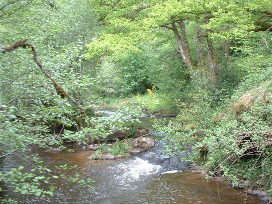 Rivière