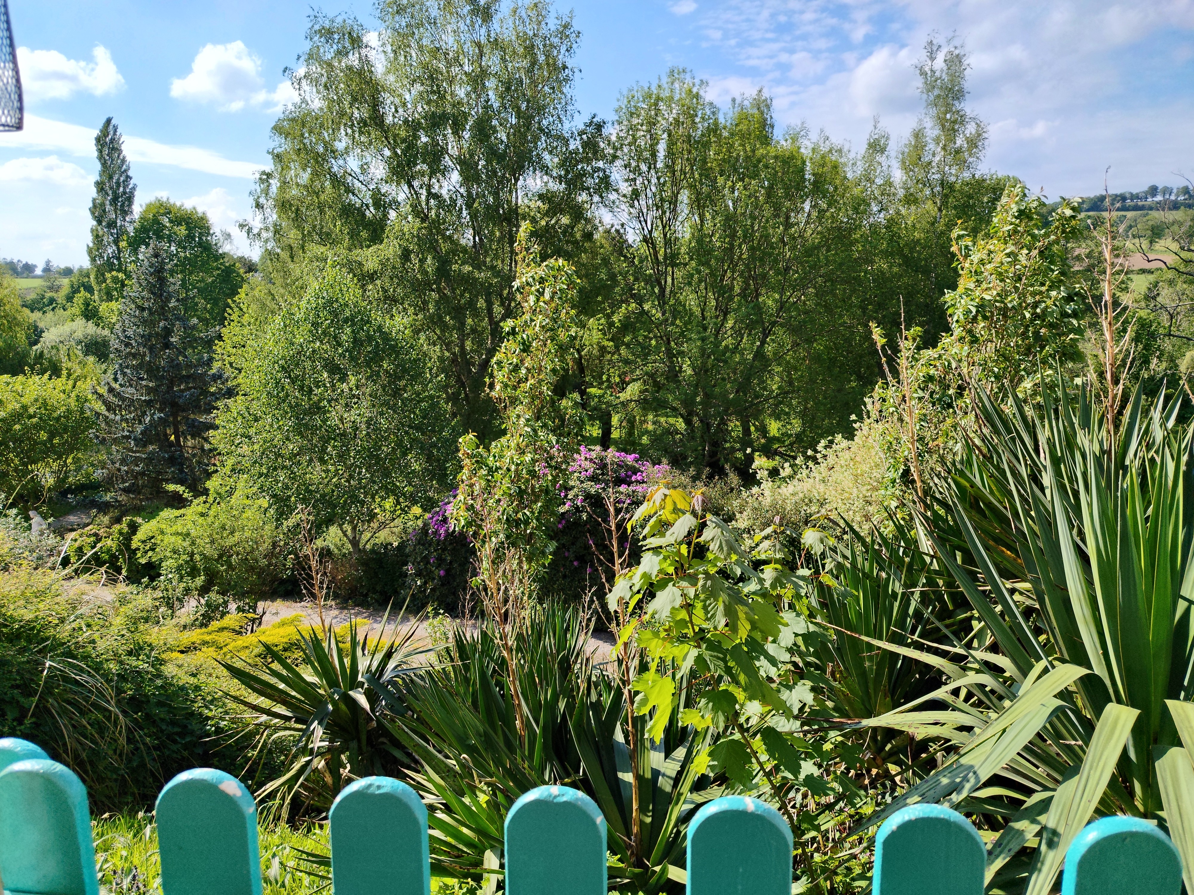View from the terrace