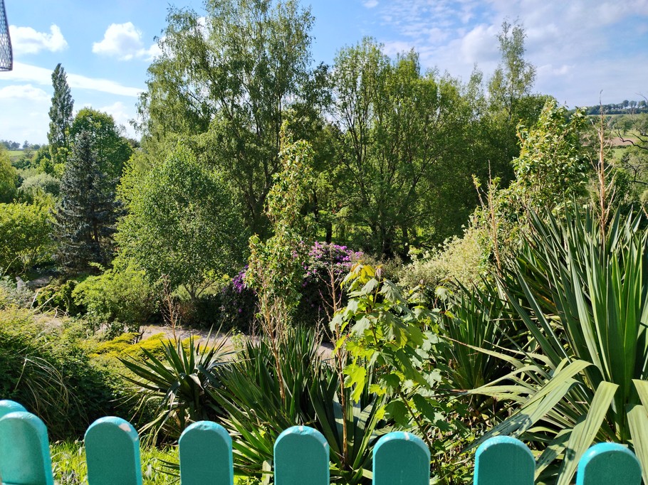 View from the terrace