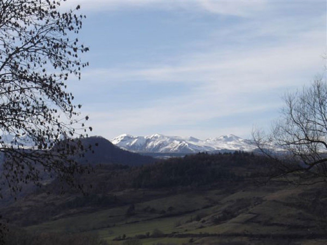 Gîte "Mont Carmel" : The Sancy massif