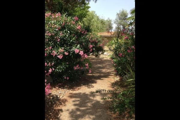 Photo n° 6 de la location