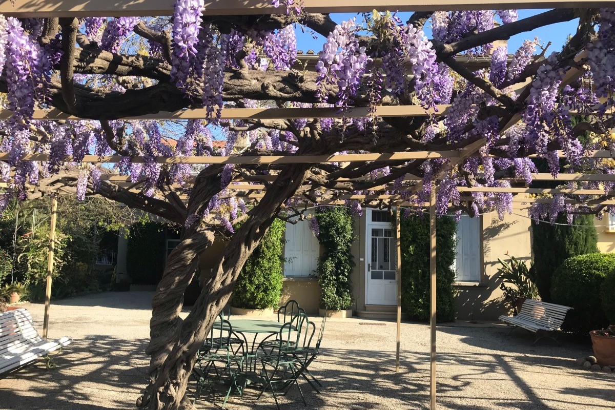 Glycine