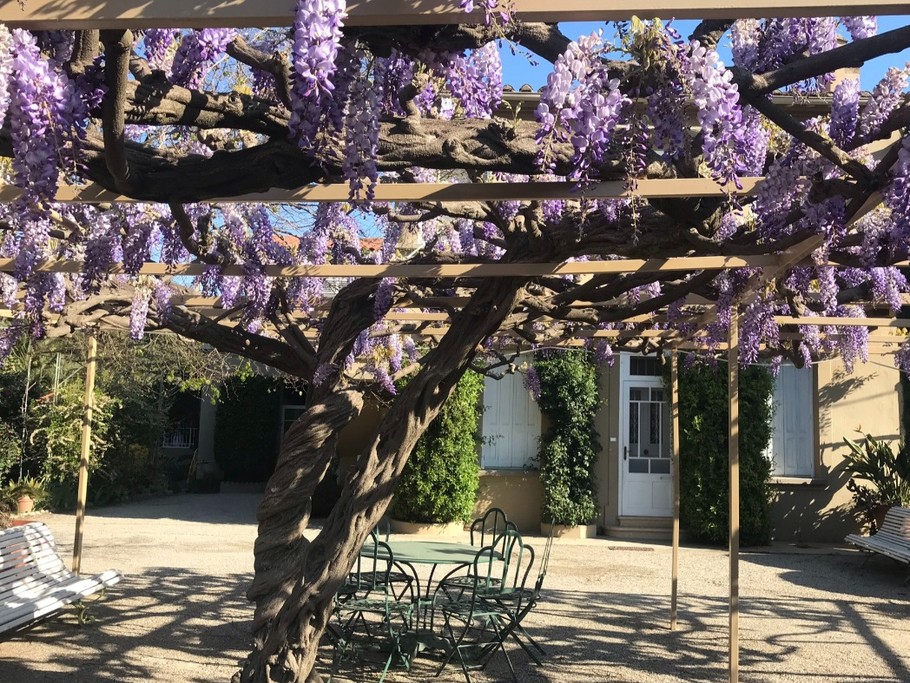 Glycine