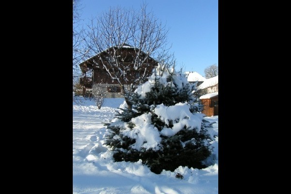 Photo n° 18 de la location