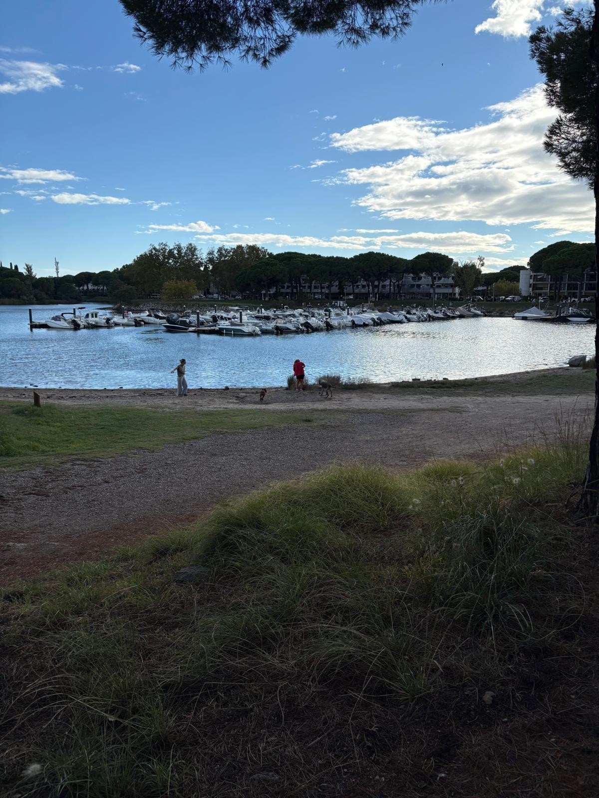Photo n° 20 de la location
