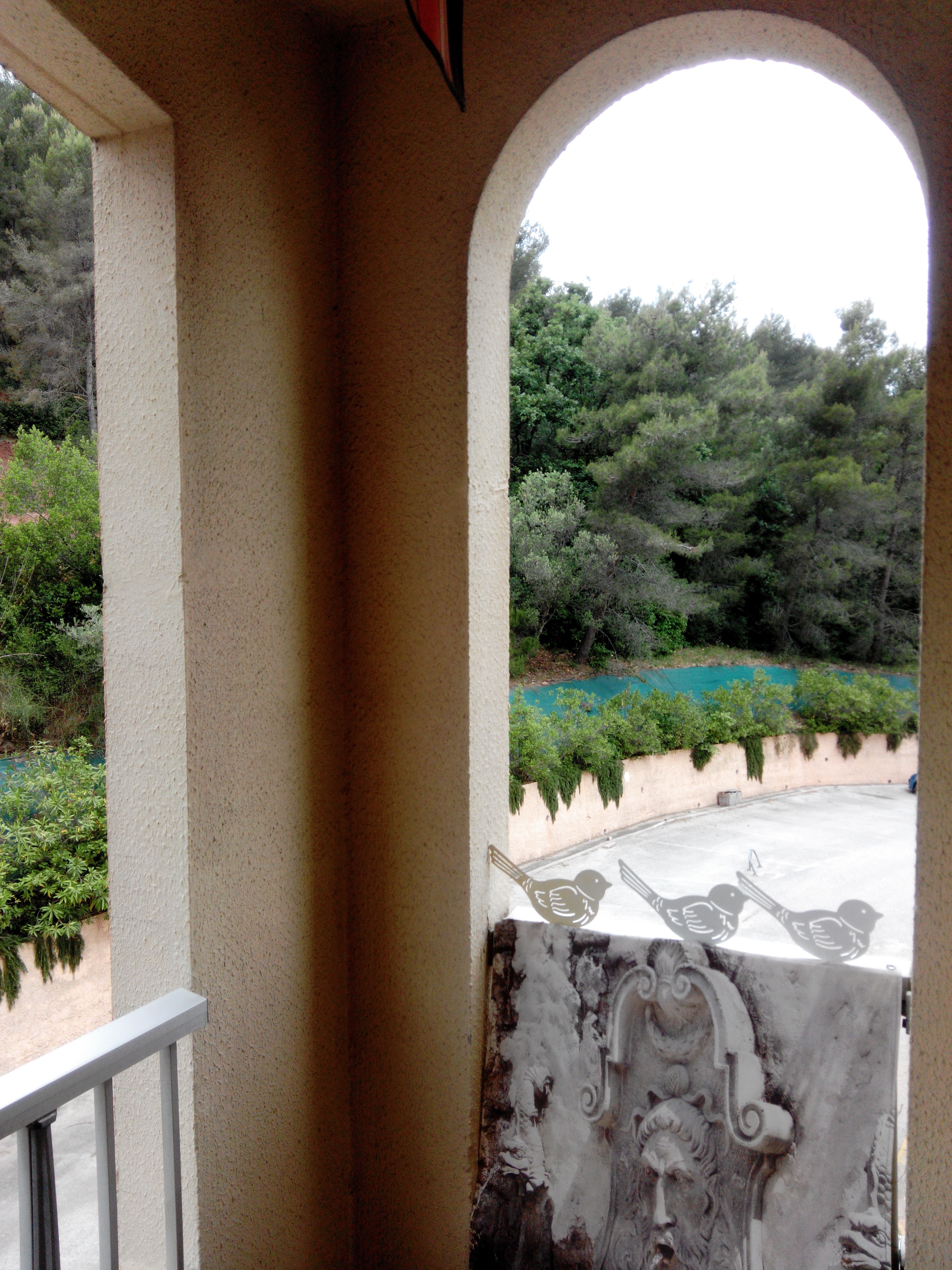 VUE SUR LA ZONE VERTE PROTEGEE