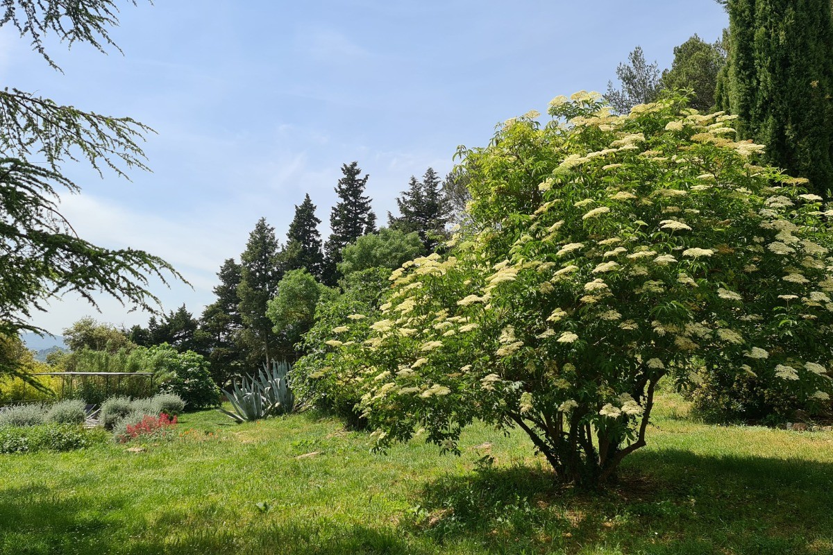 Photo n° 6 of the location