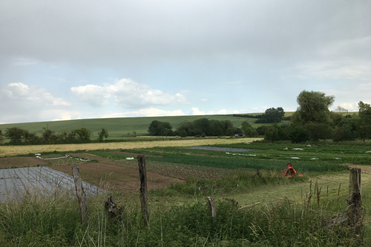 Photo n° 20 of the location