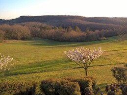 Image n° 4 de la location