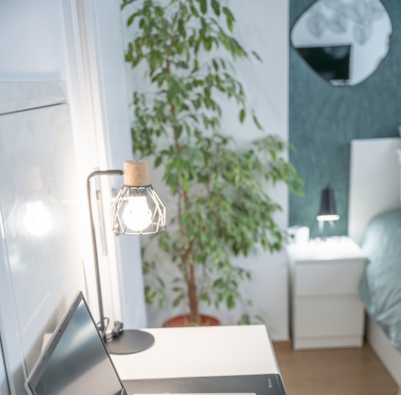 Photo n° 9 de la location