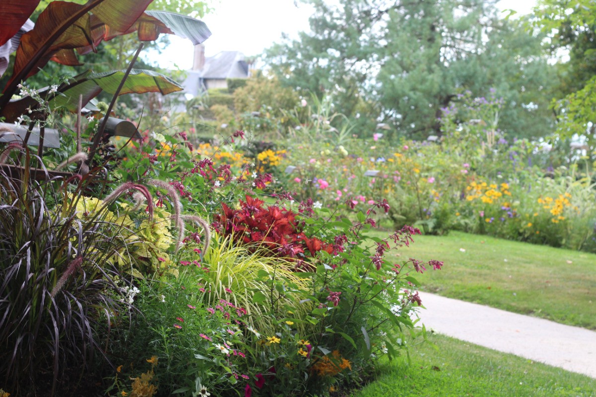 jardin des plantes_Coutances