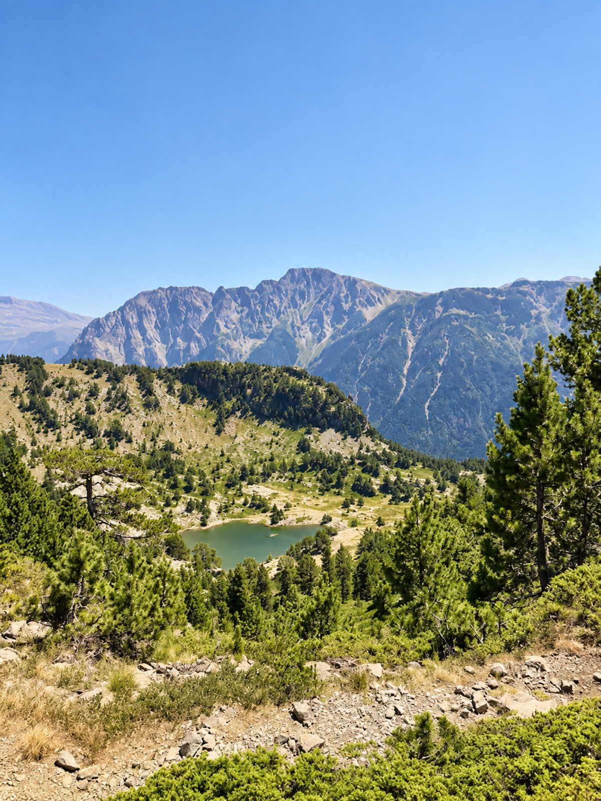 Photo n° 12 de la location