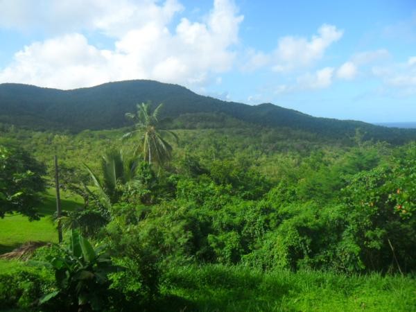 Vue de la Terrasse...