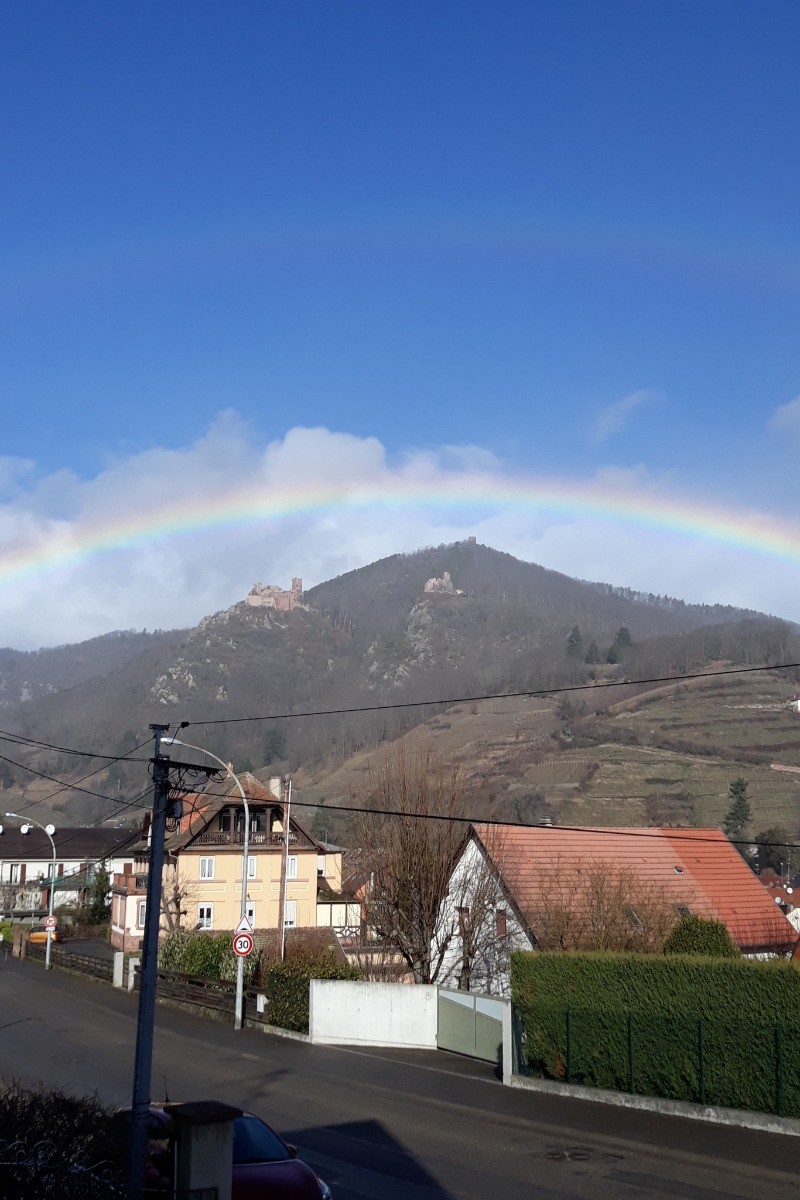 APRES LA PLUIE LE BEAU TEMPS