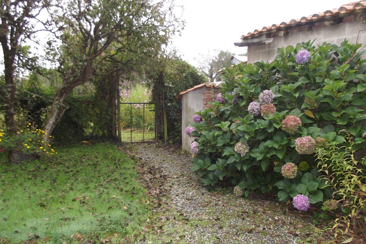 Jardin