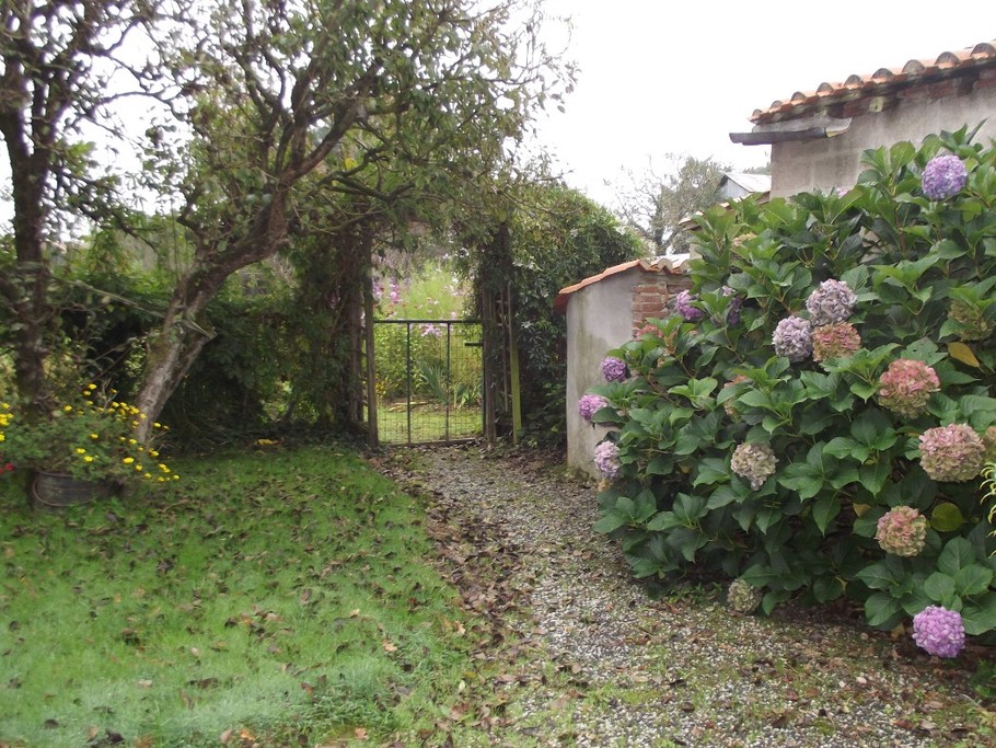 Jardin
