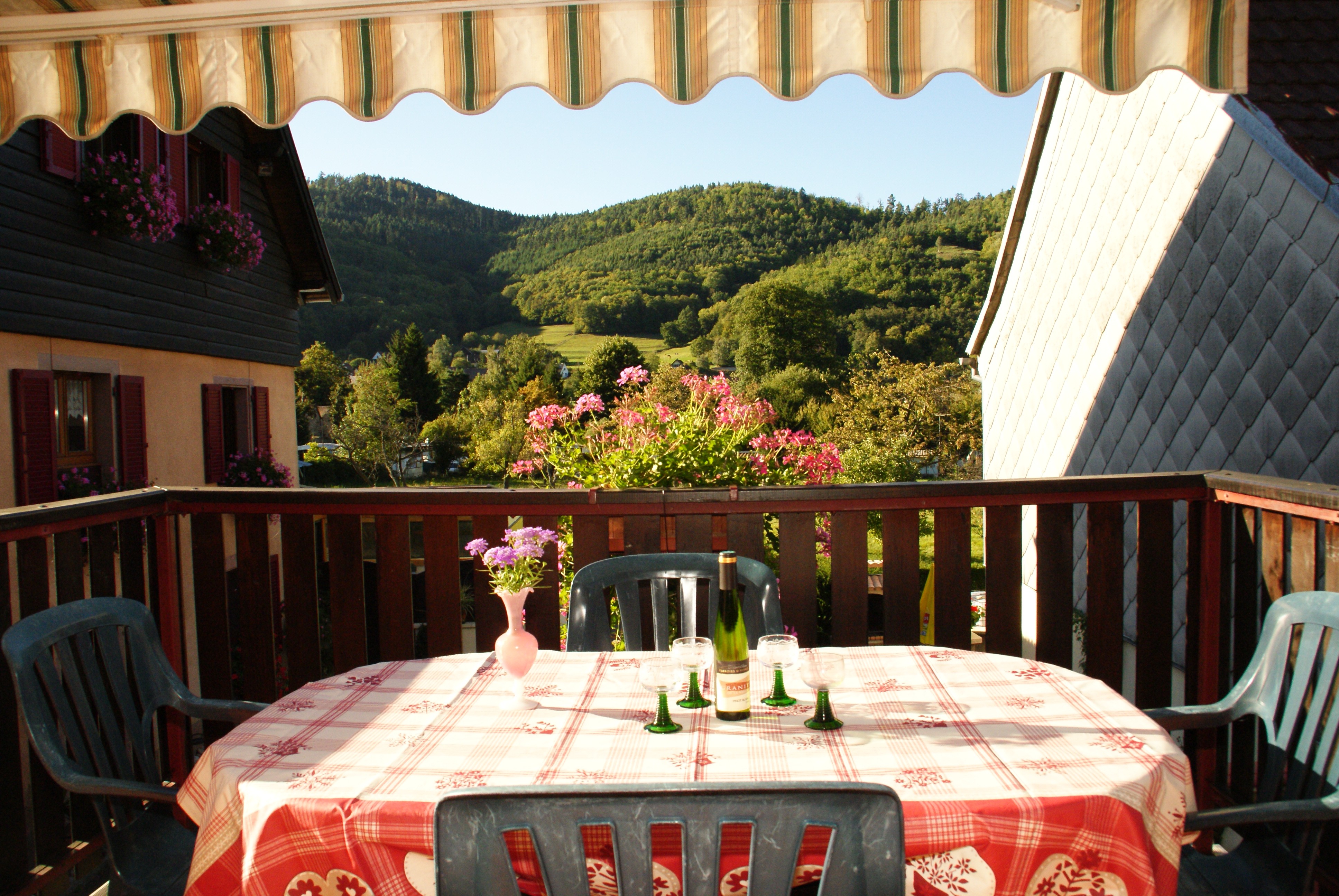 View from the terrace