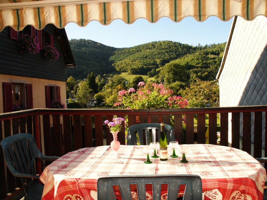 View from the terrace