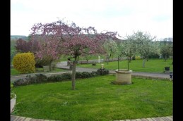 Image n° 3 de la location