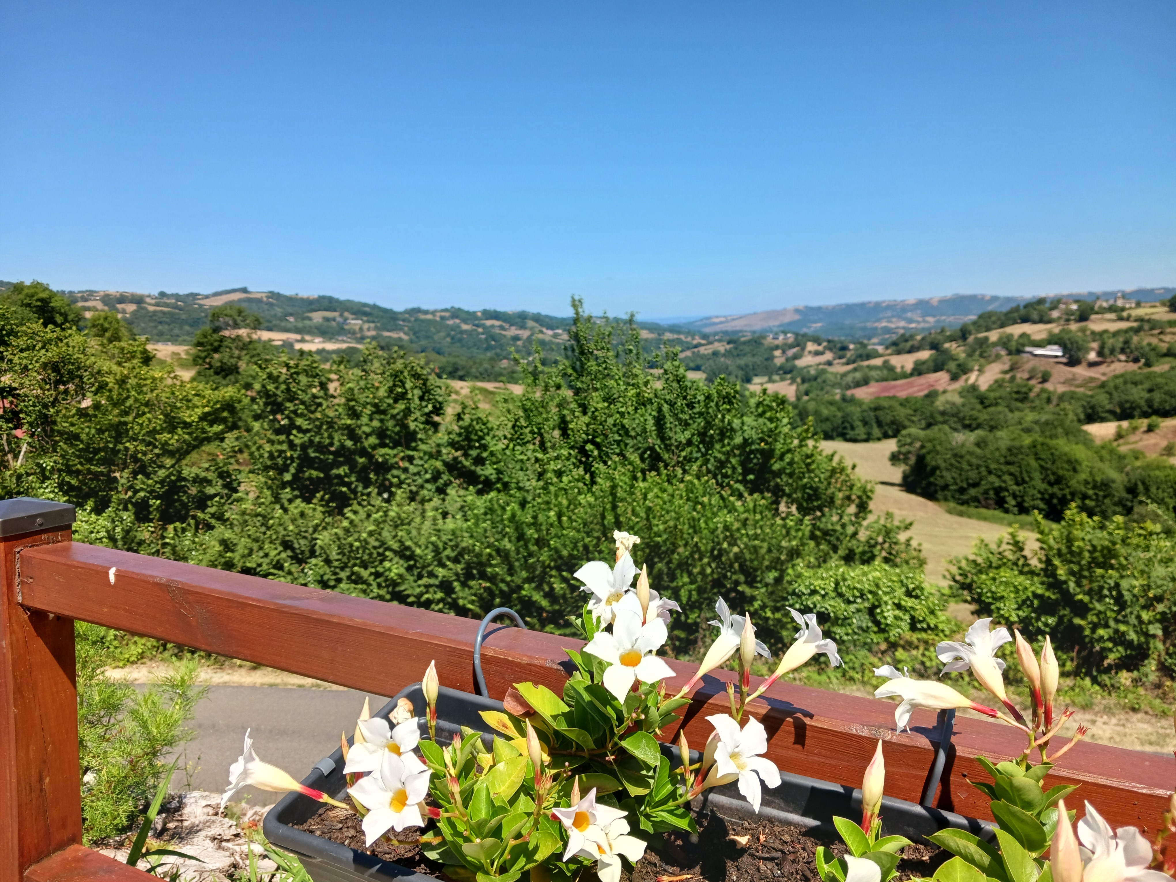 Terrasse avec vue dégagée