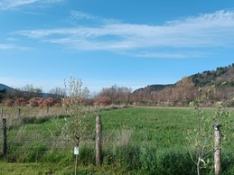 Gîte les Pruniers (Mézel, Provence)