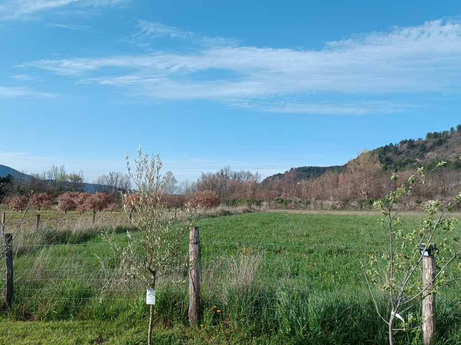 Gîte les Pruniers (Mézel, Provence)