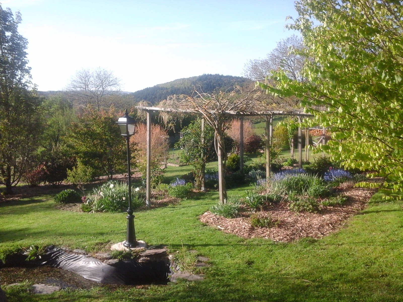 View of the garden