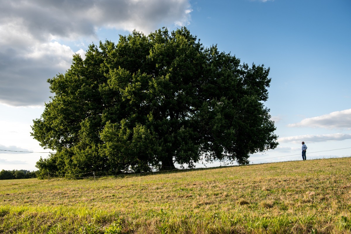 Photo n° 10 of the location
