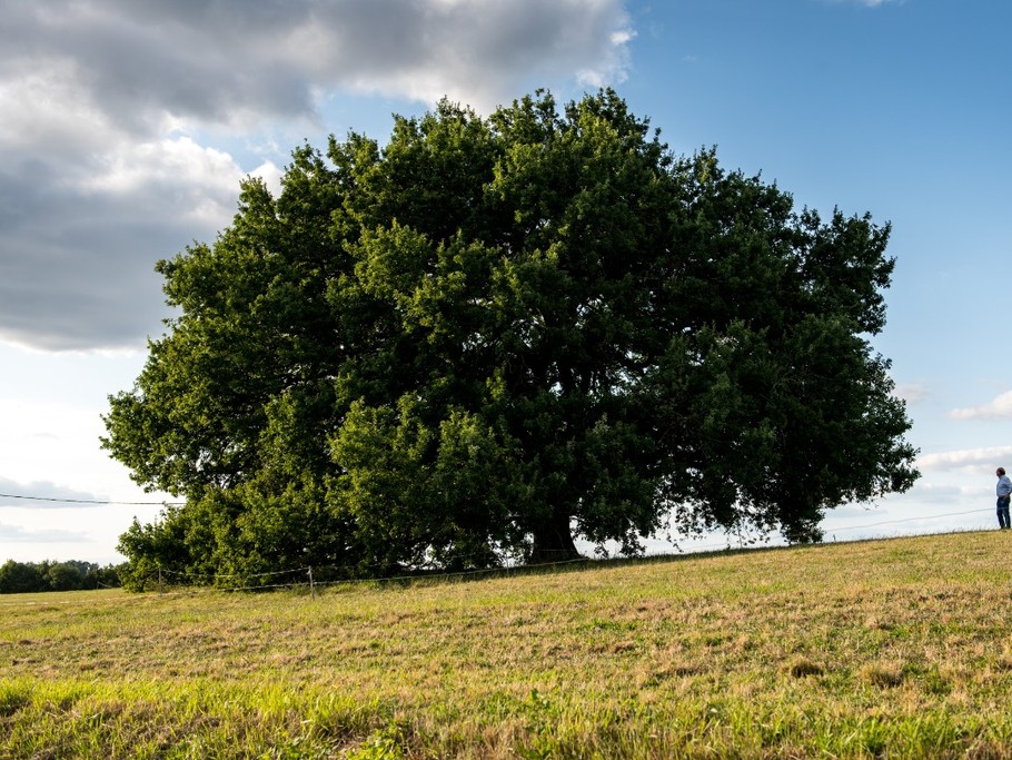 Photo n° 10 de la location